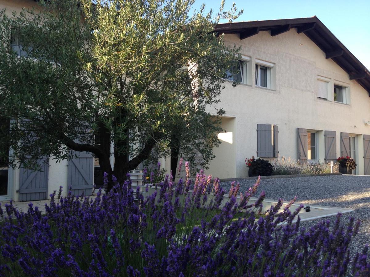 ソール・オスゴール Aux Sources D'Hossegor Bed & Breakfast エクステリア 写真